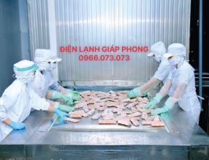 Cung cấp, sửa chữa, bảo trì, lắp đặt kho mát, kho lạnh, kho đông, cấp đông nhanh IQF