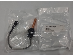 Cảm biến York 025 29964 000
