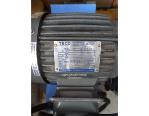 Motor điện 3 pha - TECO 1HP 0.75kW